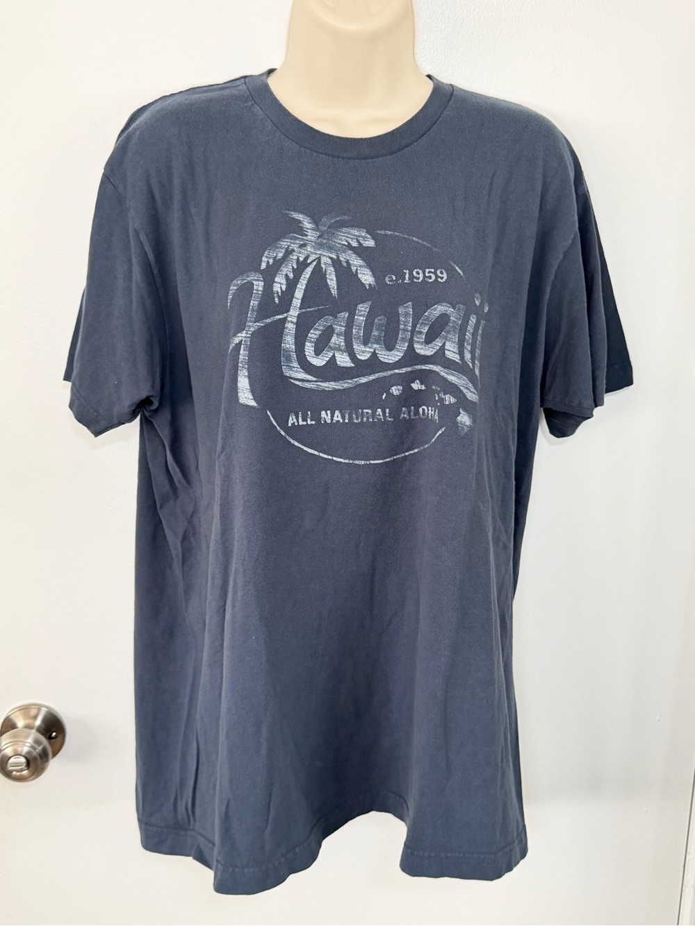 Hawaii Graphic Tee - Navy Short Sleeve Shirt L